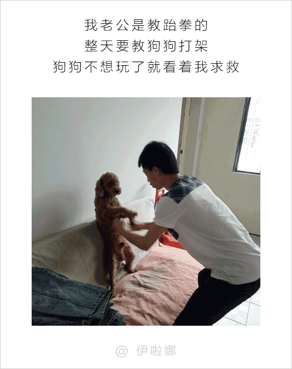 男人和狗之间的互动，可以说是很可怕了-3.gif