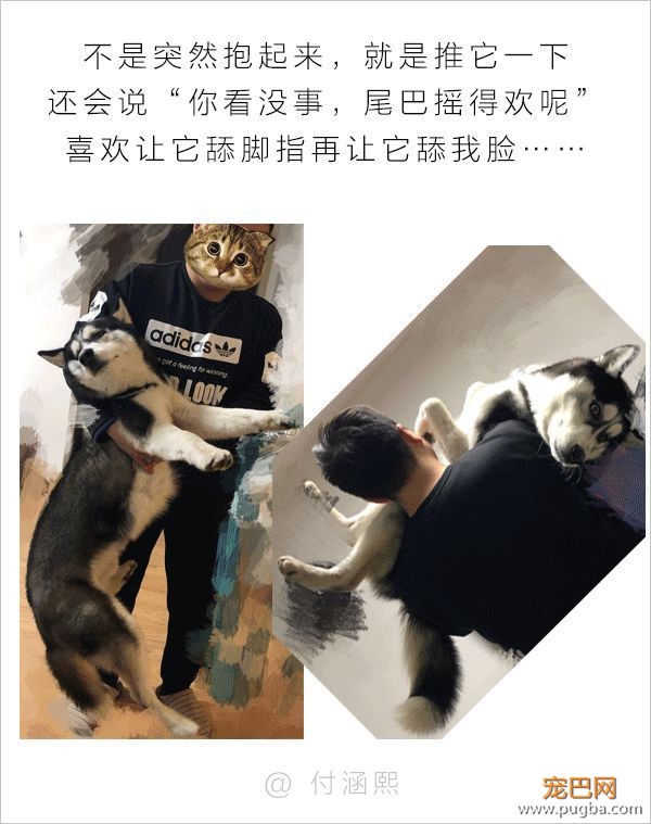 男人和狗之间的互动，可以说是很可怕了-8.jpeg