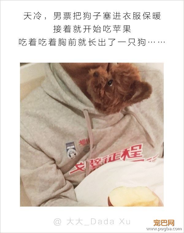 男人和狗之间的互动，可以说是很可怕了-6.jpeg