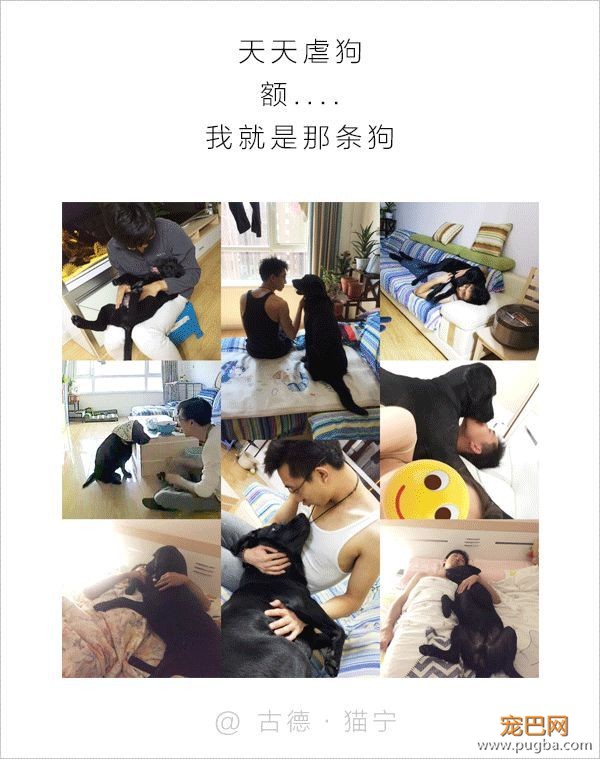 男人和狗之间的互动，可以说是很可怕了-11.jpeg