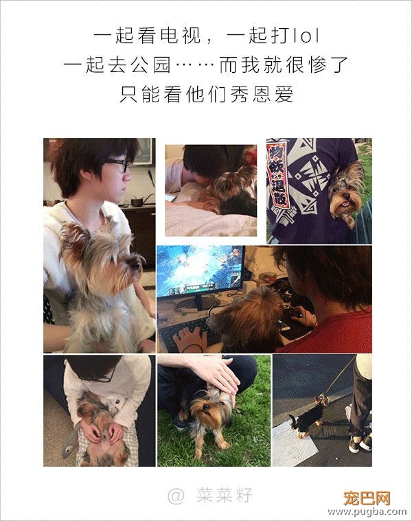 男人和狗之间的互动，可以说是很可怕了-12.jpeg