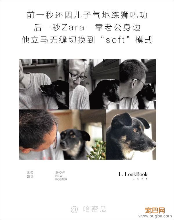 男人和狗之间的互动，可以说是很可怕了-9.jpeg