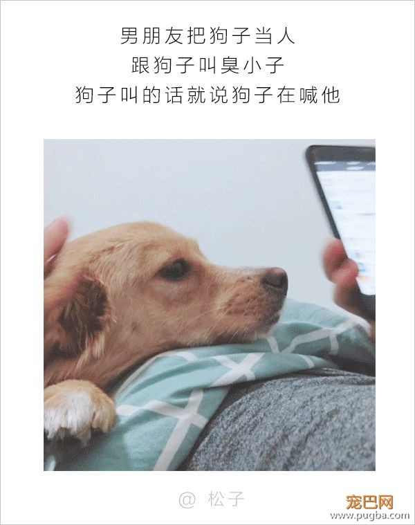 男人和狗之间的互动，可以说是很可怕了-13.jpeg