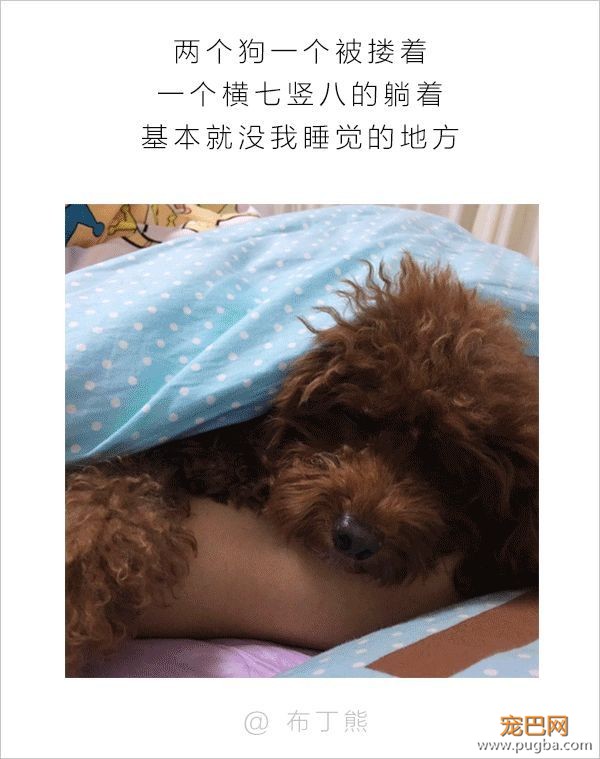男人和狗之间的互动，可以说是很可怕了-10.jpeg