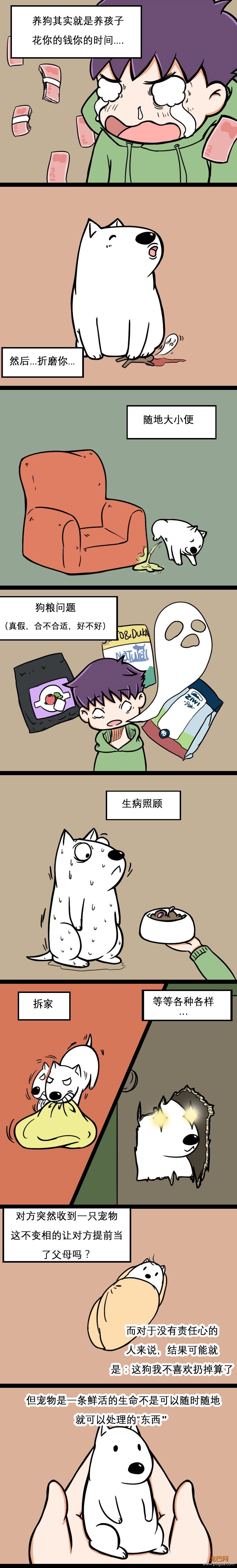 为什么过生日要送狗？脑子没坏吧-4.jpeg