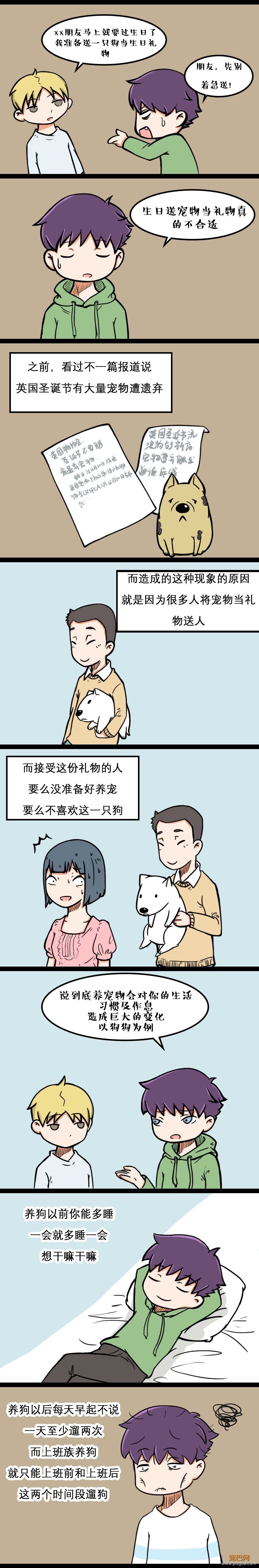 为什么过生日要送狗？脑子没坏吧-3.jpeg