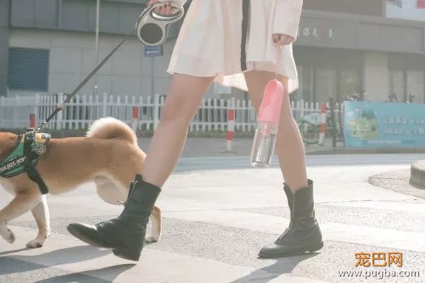 预算200元左右，求一款好用、安全、高逼格、高颜值的宠物饮水机-18.jpeg