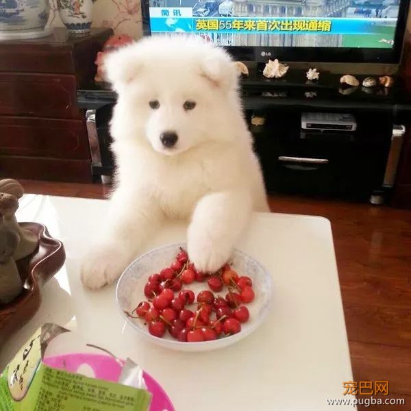 3月生日说 | 喜欢你已经超过两分钟，不能撤回了-23.jpeg