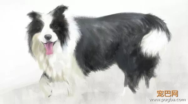3月生日说 | 喜欢你已经超过两分钟，不能撤回了-29.jpeg