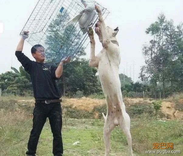 “温柔对你，凶狠示人”——战火中淬炼出来的库达-10.jpeg
