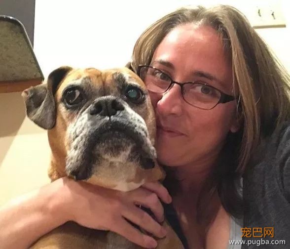 ins上有只拳师犬，靠养猫涨了4万粉-3.jpeg