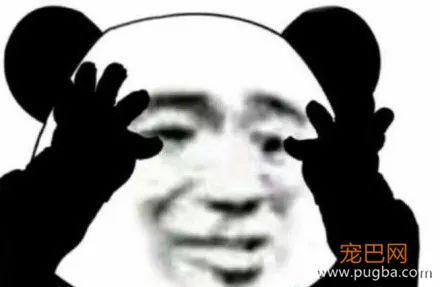100%纯山羊奶，一举讨好小奶狗大狼狗-7.jpeg