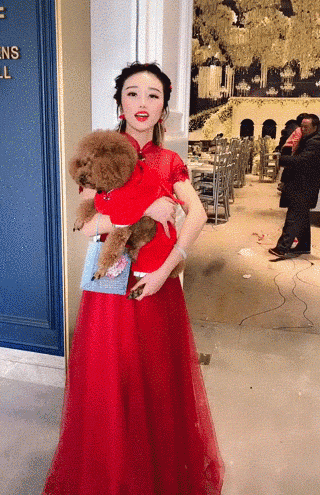 那些养狗的姑娘，狗狗才是她们最珍贵的嫁妆！-5.gif