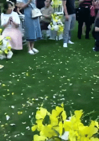 那些养狗的姑娘，狗狗才是她们最珍贵的嫁妆！-8.gif