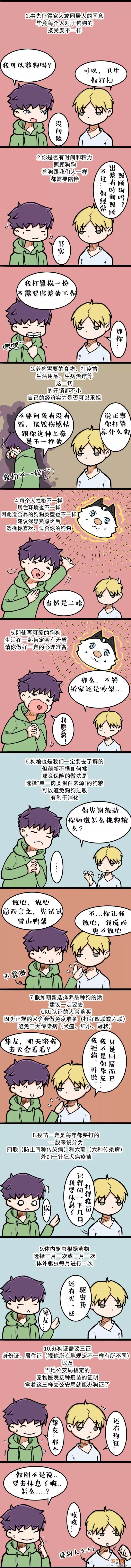 萌新养狗的10个套路，手把手让你成为老司机-3.jpeg