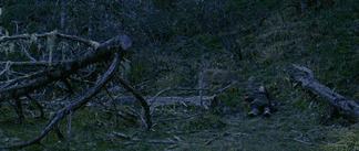 炸狗杀鹿虐马？？导演们究竟是预算不足、还是良心有限-16.gif