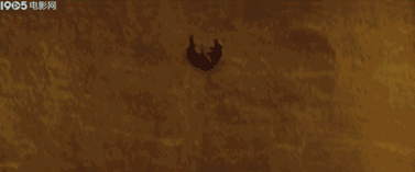 炸狗杀鹿虐马？？导演们究竟是预算不足、还是良心有限-31.gif