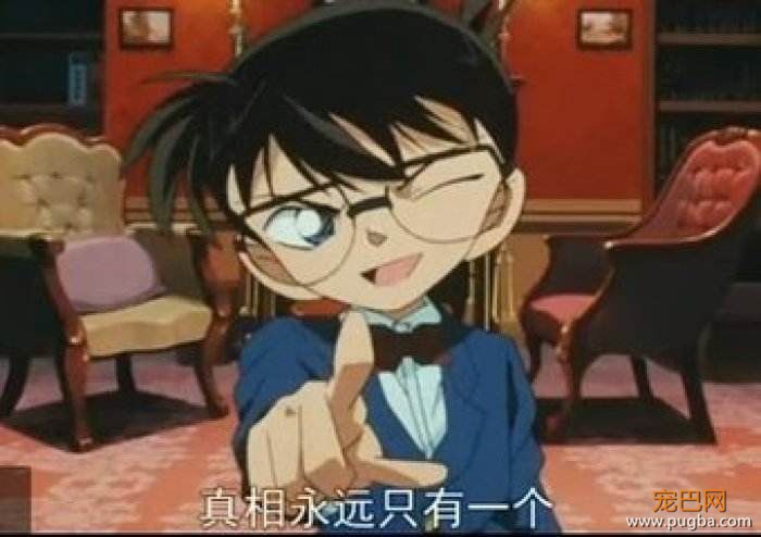 谁偷了鸡肉干？真相只有一个！-5.jpeg