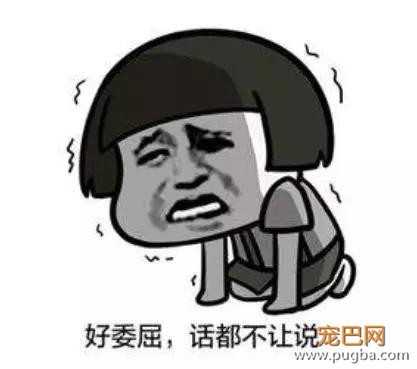 谁偷了鸡肉干？真相只有一个！-10.jpg