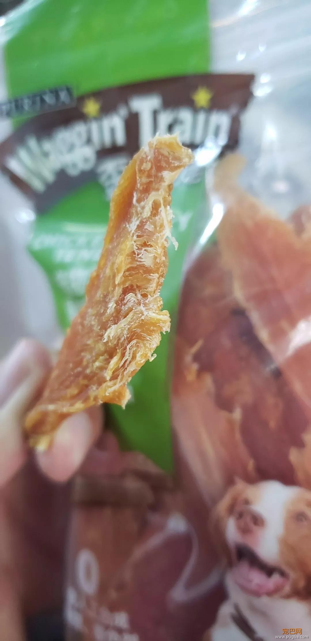 谁偷了鸡肉干？真相只有一个！-17.jpg