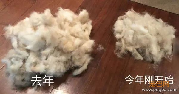 掉掉掉掉毛季再次来袭，去去去去毛手套来一副吗？-3.jpeg