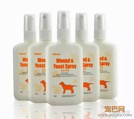 狗狗皮肤病怎么治 不同症状解析-5.jpeg