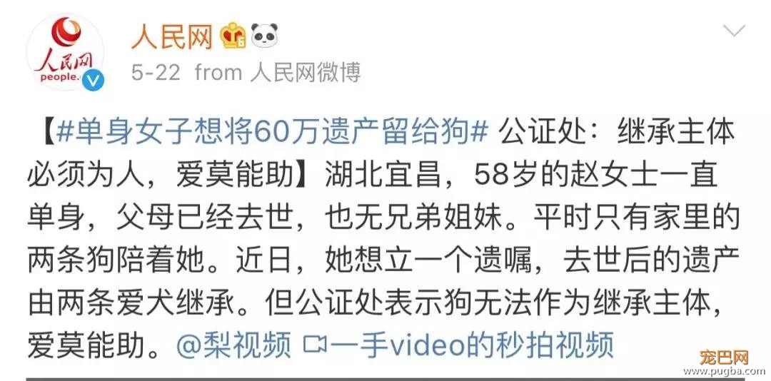 主人死前留遗嘱让狗子陪葬，竟然还真的得到了执行！？-1.jpg