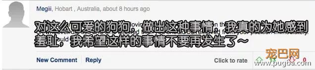 主人死前留遗嘱让狗子陪葬，竟然还真的得到了执行！？-9.jpg