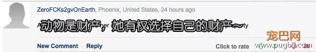 主人死前留遗嘱让狗子陪葬，竟然还真的得到了执行！？-15.jpg