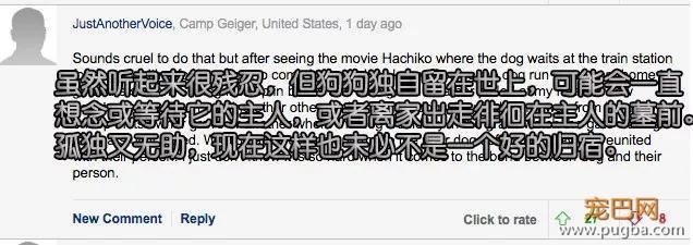 主人死前留遗嘱让狗子陪葬，竟然还真的得到了执行！？-16.jpg