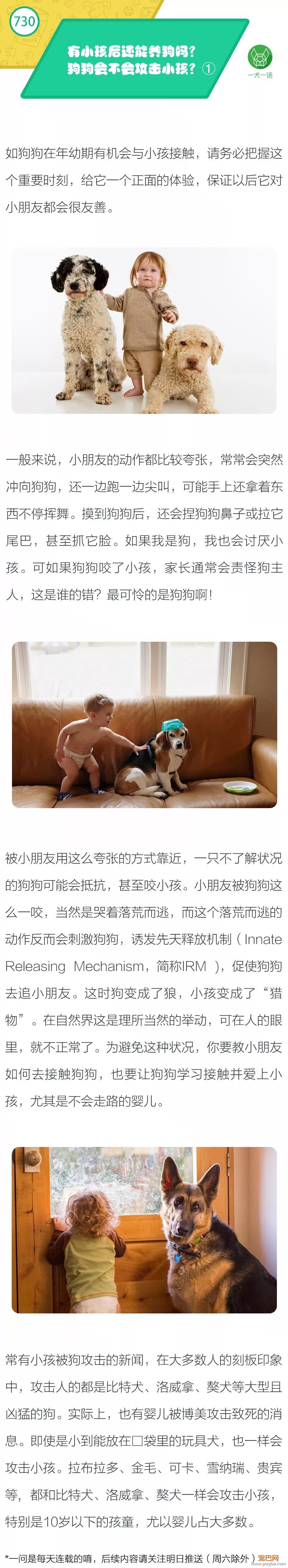 有小孩后还能养狗吗？狗狗会不会攻击小孩？①-1.jpeg
