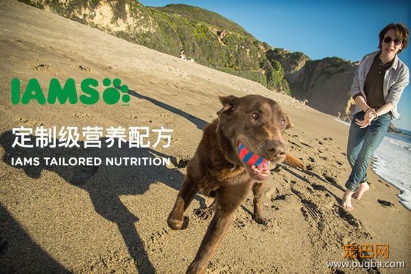 进口粮贵国产粮坑？这款年销70亿、超高性价比的美国狗粮了解一下-2.jpeg