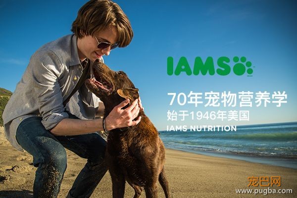 进口粮贵国产粮坑？这款年销70亿、超高性价比的美国狗粮了解一下-8.jpeg