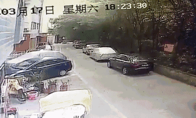 对不起萌萌，我们保护不了你，因为你价值不足5000块-6.gif