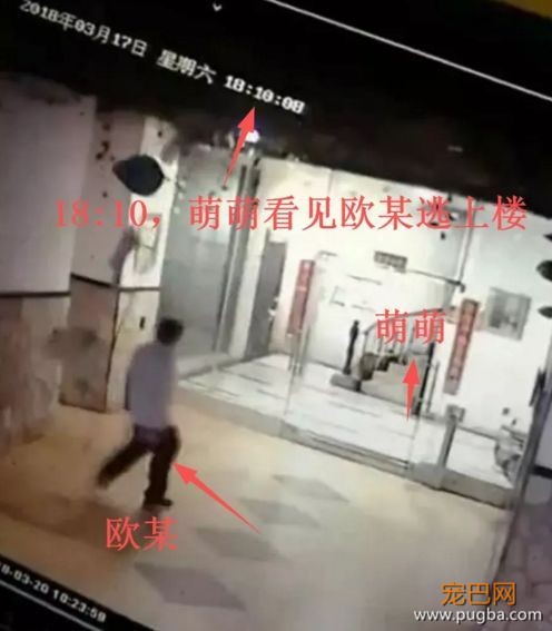 对不起萌萌，我们保护不了你，因为你价值不足5000块-7.jpeg