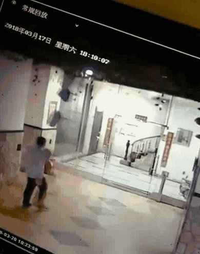 对不起萌萌，我们保护不了你，因为你价值不足5000块-5.gif