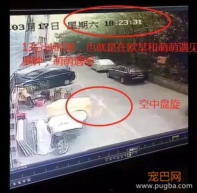 对不起萌萌，我们保护不了你，因为你价值不足5000块-9.jpeg