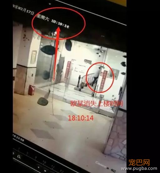 对不起萌萌，我们保护不了你，因为你价值不足5000块-8.jpeg