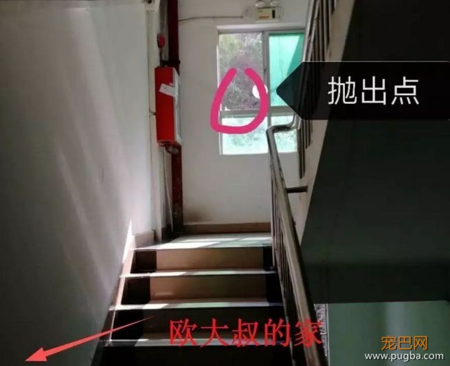 对不起萌萌，我们保护不了你，因为你价值不足5000块-14.jpeg