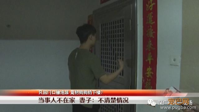 对不起萌萌，我们保护不了你，因为你价值不足5000块-17.jpeg