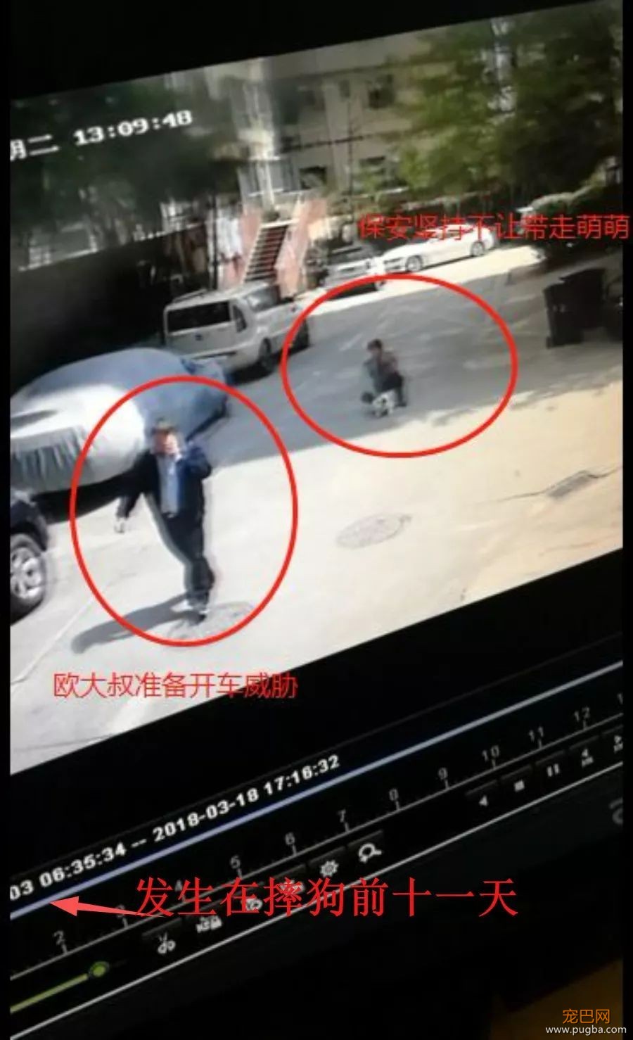 对不起萌萌，我们保护不了你，因为你价值不足5000块-19.jpeg
