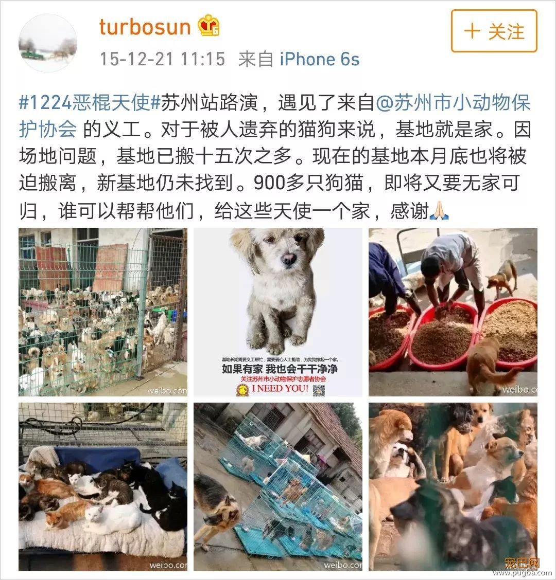 拍戏、带娃、养狗，孙俪是如何全都做好的？-5.jpeg