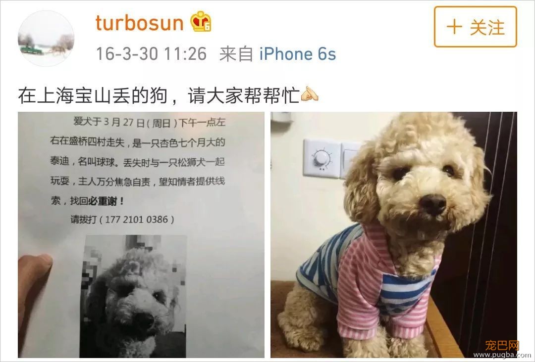 拍戏、带娃、养狗，孙俪是如何全都做好的？-7.jpeg