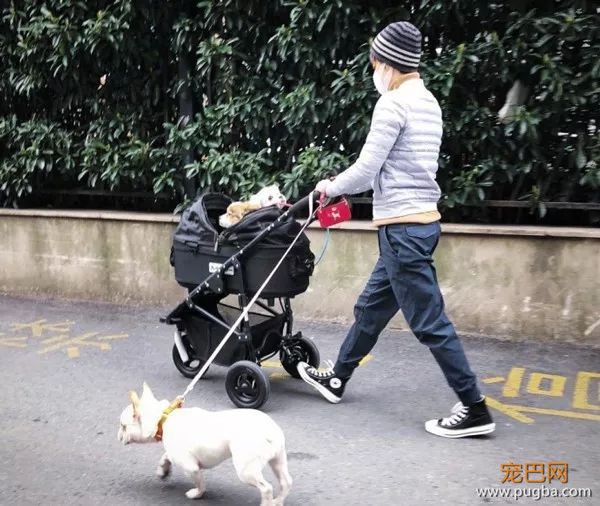 拍戏、带娃、养狗，孙俪是如何全都做好的？-11.jpeg
