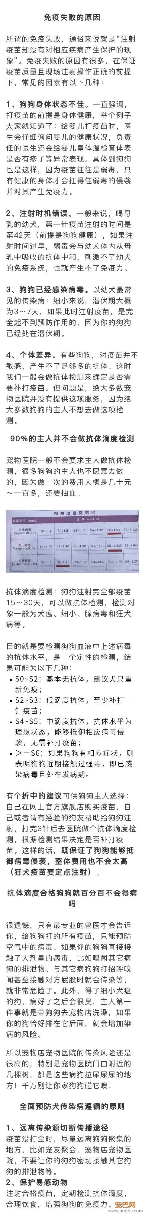 打完疫苗后少了这个操作，难怪你的狗狗还会得病-2.jpeg