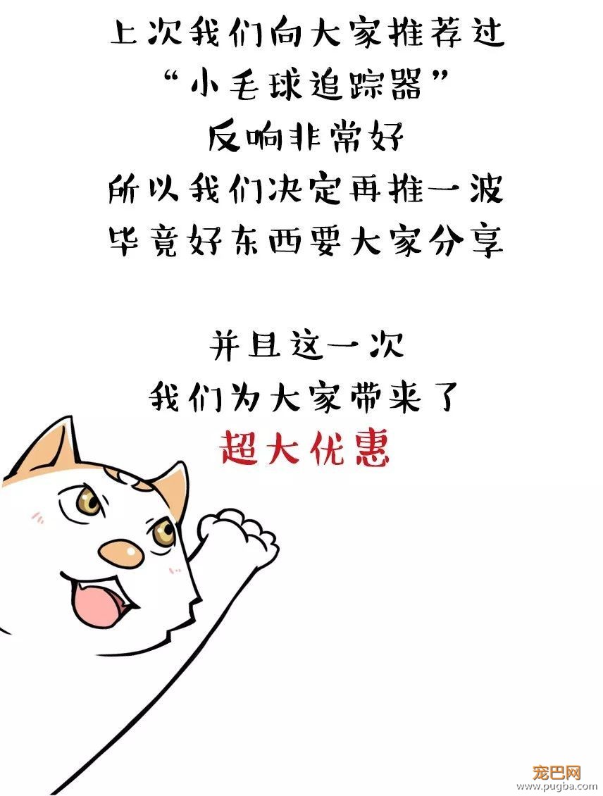 什么样的铲屎官才配得上“培根”这样的二哈-3.jpeg