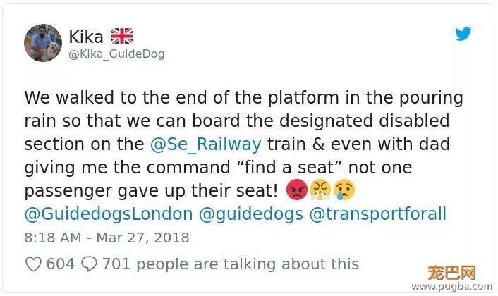 该不该为导盲犬和它主人让座？英国网友讨论炸开了锅-6.jpeg