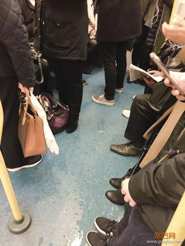 该不该为导盲犬和它主人让座？英国网友讨论炸开了锅-5.jpeg