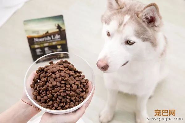 该不该为导盲犬和它主人让座？英国网友讨论炸开了锅-13.jpeg