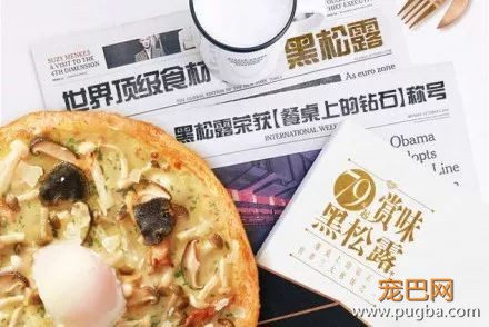 狗狗的第一支轻奢营养膏：珍贵的黑松露，给珍贵的小毛孩-7.jpeg